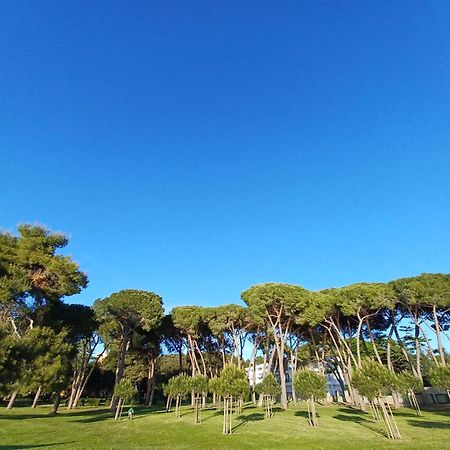 Family Apartments Zadar - Ryanair Exclusive المظهر الخارجي الصورة